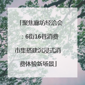 聚焦廊坊经洽会：6街16巷消费市集搭建沉浸式消费体验新场景