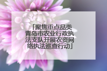 聚焦重点品类 青岛市农业行政执法支队开展农资网络执法巡查行动