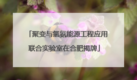 聚变与氢氨能源工程应用联合实验室在合肥揭牌