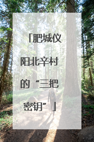 肥城仪阳北辛村的“三把密钥”