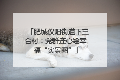 肥城仪阳街道下三合村：党群连心绘幸福“实景图”