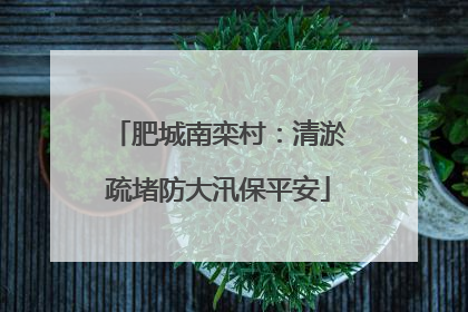 肥城南栾村：清淤疏堵防大汛保平安