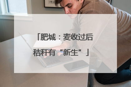 肥城：麦收过后秸秆有“新生”