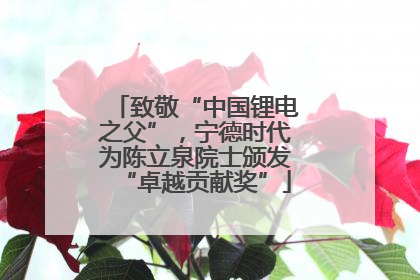 致敬“中国锂电之父”，宁德时代为陈立泉院士颁发“卓越贡献奖”