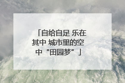 自给自足 乐在其中 城市里的空中“田园梦”