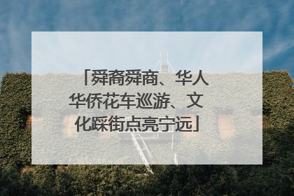 舜裔舜商、华人华侨花车巡游、文化踩街点亮宁远