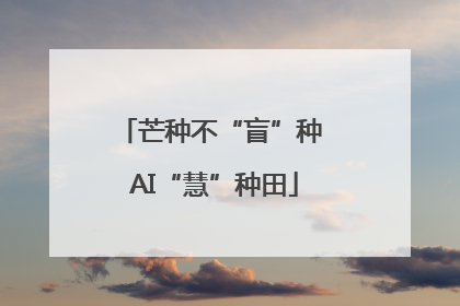芒种不“盲”种 AI“慧”种田