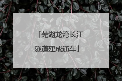 芜湖龙湾长江隧道建成通车