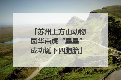 苏州上方山动物园华南虎“星星”成功诞下四胞胎
