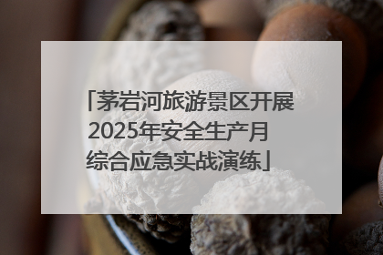茅岩河旅游景区开展2025年安全生产月综合应急实战演练