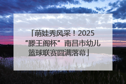 萌娃秀风采！2025“滕王阁杯”南昌市幼儿篮球联赛圆满落幕