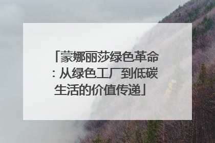蒙娜丽莎绿色革命：从绿色工厂到低碳生活的价值传递