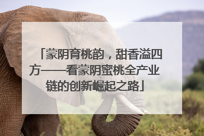 蒙阴育桃韵，甜香溢四方——看蒙阴蜜桃全产业链的创新崛起之路