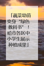 蔬菜幼苗变身“绿色教科书”！哈市各区中小学生展示种植成果