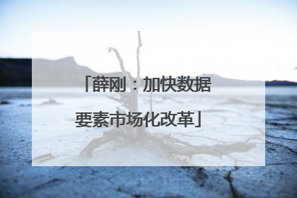 薛刚：加快数据要素市场化改革