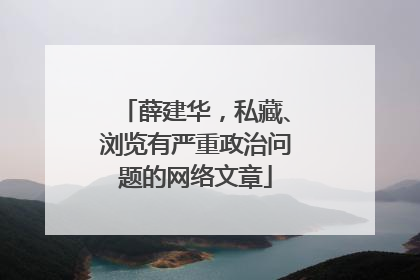 薛建华，私藏、浏览有严重政治问题的网络文章