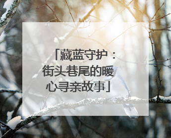 藏蓝守护：街头巷尾的暖心寻亲故事