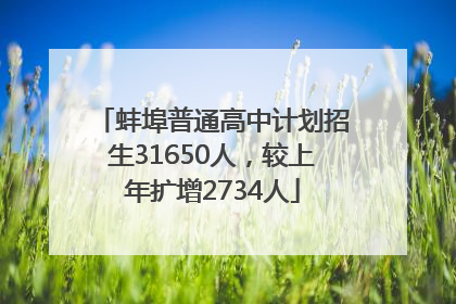 蚌埠普通高中计划招生31650人，较上年扩增2734人