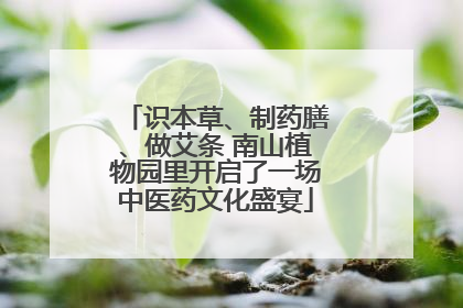 识本草、制药膳、做艾条 南山植物园里开启了一场中医药文化盛宴