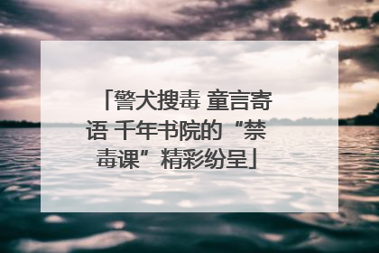警犬搜毒 童言寄语 千年书院的“禁毒课”精彩纷呈