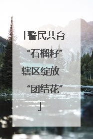 警民共育“石榴籽” 辖区绽放“团结花”