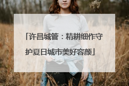 许昌城管：精耕细作守护夏日城市美好容颜
