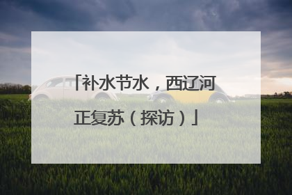 补水节水，西辽河正复苏（探访）