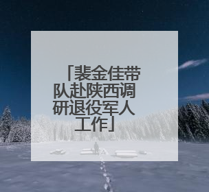 裴金佳带队赴陕西调研退役军人工作