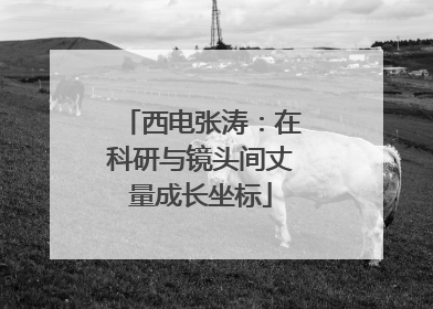 西电张涛：在科研与镜头间丈量成长坐标