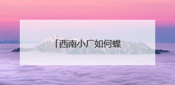 西南小厂如何蝶变为领军企业