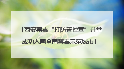 西安禁毒“打防管控宣”并举 成功入围全国禁毒示范城市