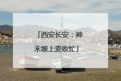 西安长安：神禾塬上麦收忙