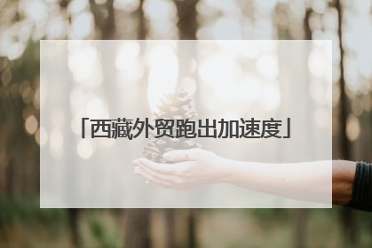 西藏外贸跑出加速度