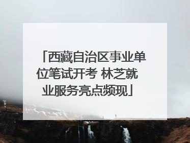 西藏自治区事业单位笔试开考 林芝就业服务亮点频现