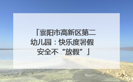 襄阳市高新区第二幼儿园：快乐度暑假 安全不“放假”