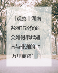 观察丨湖南省湘非经贸商会如何串起湖南与非洲的“万里商路”