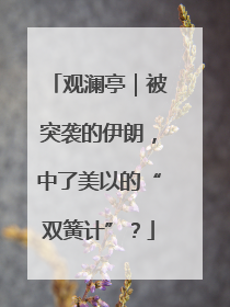观澜亭｜被突袭的伊朗，中了美以的“双簧计”？
