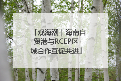 观海潮｜海南自贸港与RCEP区域合作互促共进