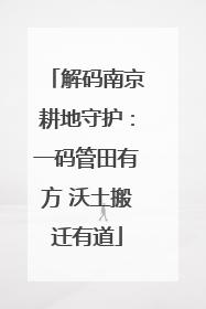 解码南京耕地守护：一码管田有方 沃土搬迁有道