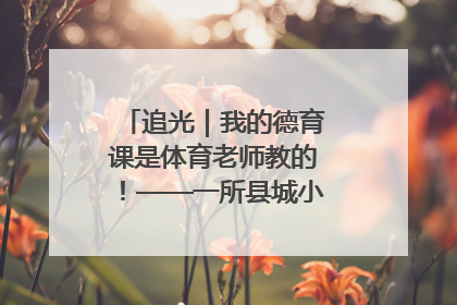 追光｜我的德育课是体育老师教的！——一所县城小学的思政课改革