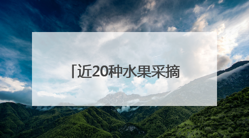 近20种水果采摘自由！杭州一小区成了“四季果园”