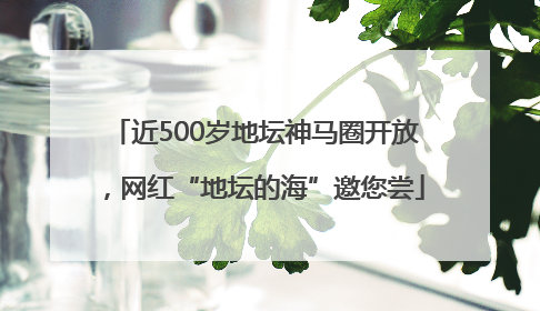 近500岁地坛神马圈开放，网红“地坛的海”邀您尝