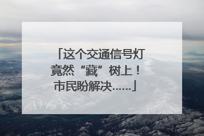这个交通信号灯竟然“藏”树上！市民盼解决……