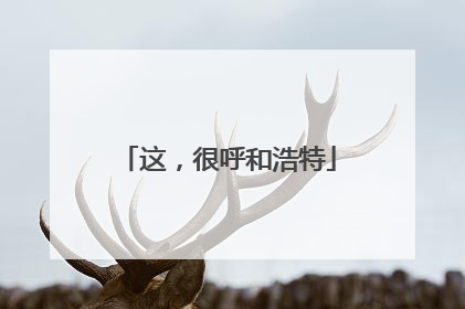 这，很呼和浩特