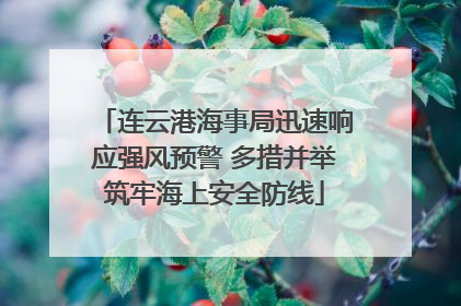 连云港海事局迅速响应强风预警 多措并举筑牢海上安全防线