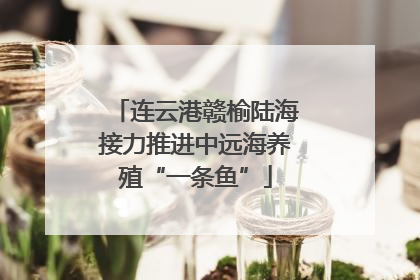连云港赣榆陆海接力推进中远海养殖“一条鱼”
