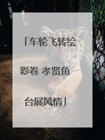 车轮飞转绘彩卷 孝贤鱼台展风情