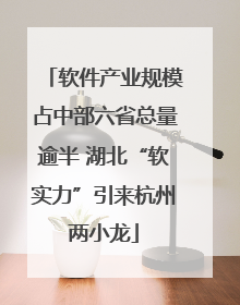 软件产业规模占中部六省总量逾半 湖北“软实力”引来杭州两小龙