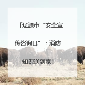 辽源市“安全宣传咨询日”：消防知识送到家