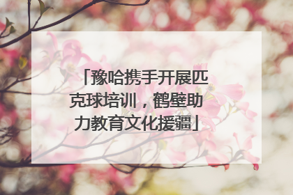 豫哈携手开展匹克球培训，鹤壁助力教育文化援疆